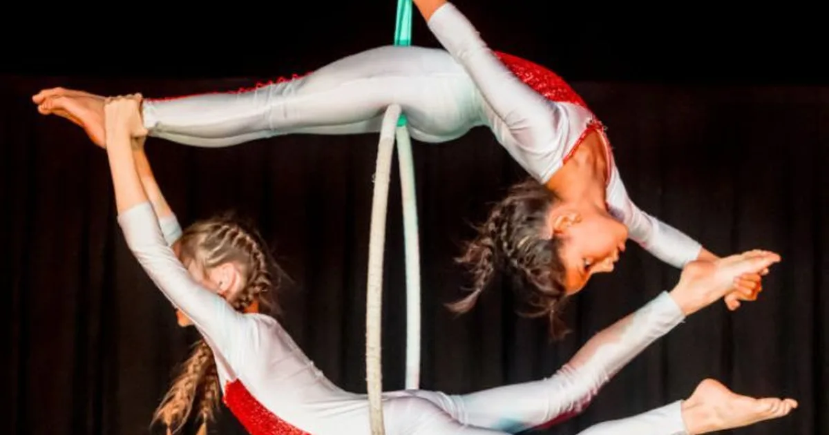 Festicirque – Festival International des Écoles de cirque